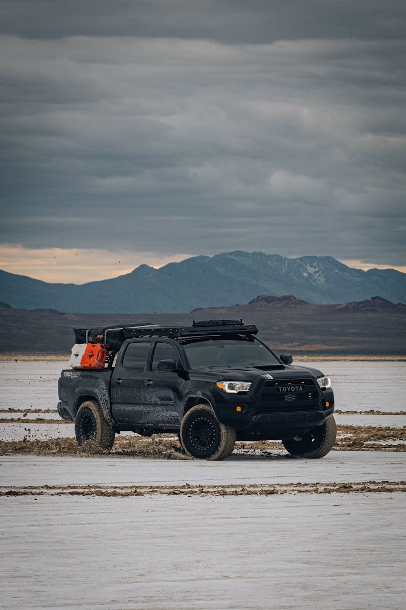 Benefits of Choosing Navi Auto Transport